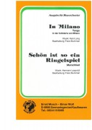 Schön ist so ein Ringelspiel