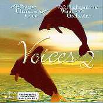 Voices 2 (CD)