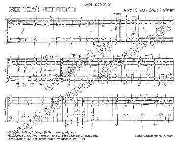 Mei Obaösterreich