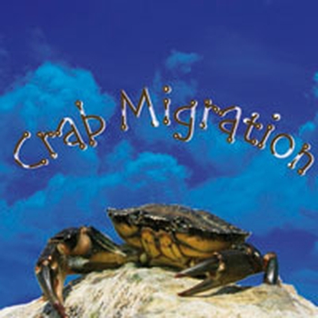 Crab Migration (CD)