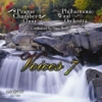 Voices 7 (CD)
