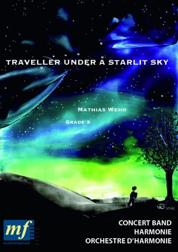 Traveller Under a Starlit Sky