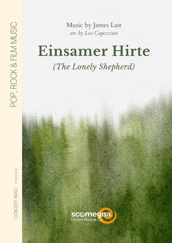 Einsamer Hirte