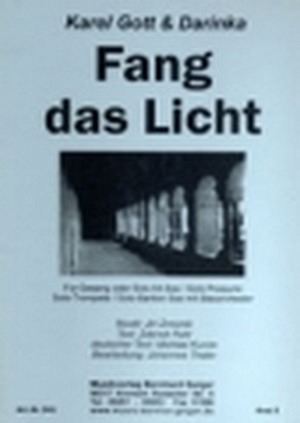 Fang das Licht