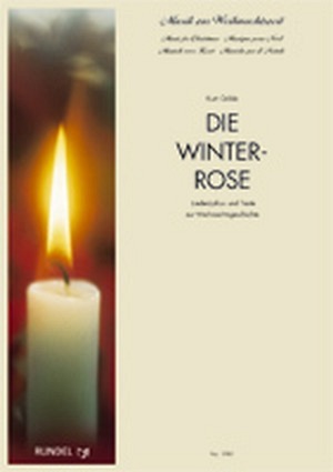 Die Winterrose