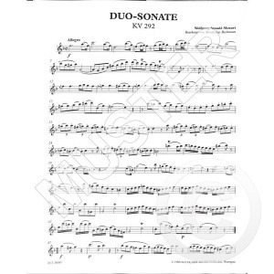 Duo-Sonate KV 292 (Fagott)
