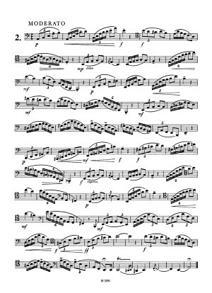 Rhythmische Etüden für Fagott