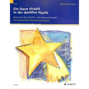 Ein Stern strahlt in der dunklen Nacht
