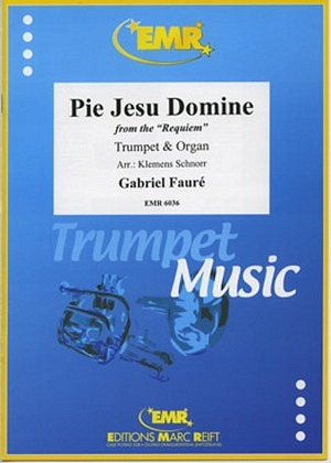 Pie Jesu Domine - Trompete & Orgel