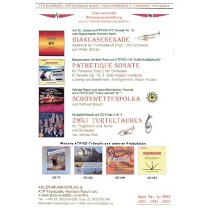 Pathetique Sonate