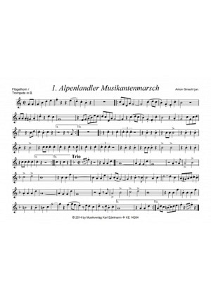 Alpenlandler Musikanten