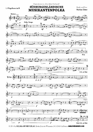 Südburgenländische Musikantenpolka