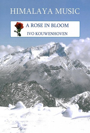 A Rose in Bloom