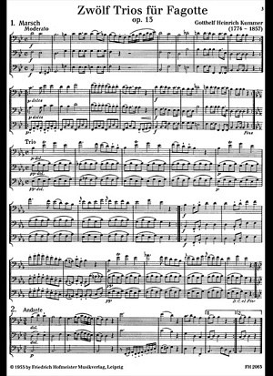 Zwölf Trios für Fagott, op. 13