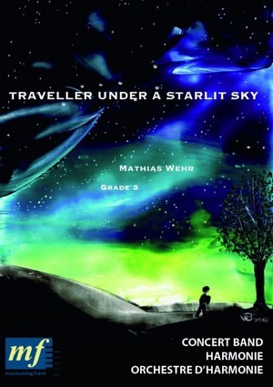 Traveller Under a Starlit Sky