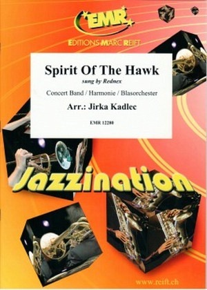 Spirit of the Hawk