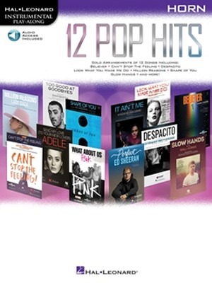 12 Pop Hits - Horn