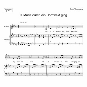 Weihnachtslieder für Klarinetten