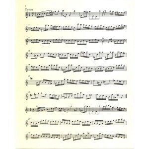 Partita für Flöte Solo A-Moll BWV 1013