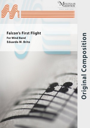Falcon's First Flight