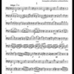 Zwei Wiener Sonatinen