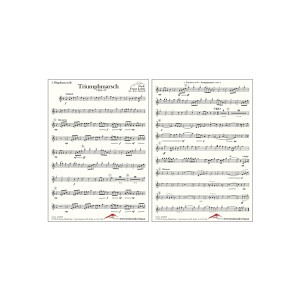 Triumphmarsch - op. 53