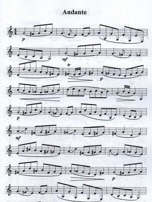 Waldhornetüden für die Mittelstufe