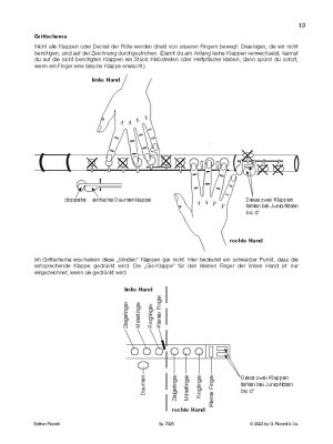 Flöte spielen - Die neue Querflötenschule + Online-Audio (A)