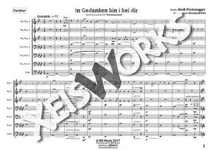 In Gedanken bin i bei Dir