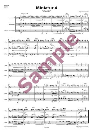 Miniatur 4 "chaotic"