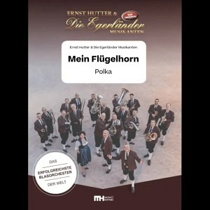 Mein Flügelhorn
