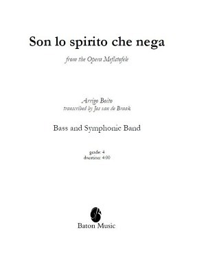 Son lo spirito che nega