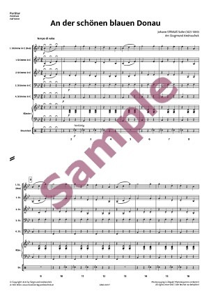 An der schönen blauen Donau