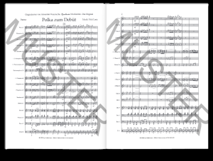 Polka zum Debüt