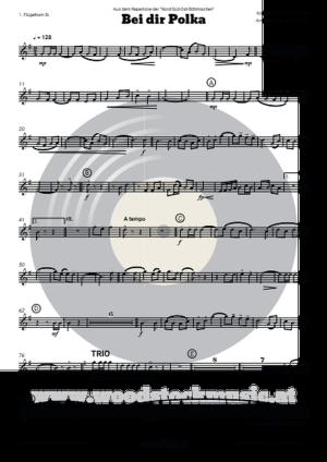 Bei dir Polka