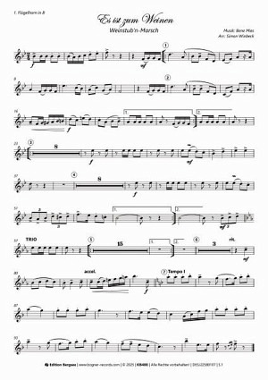 Es ist zum Weinen - Weinstub'n Marsch