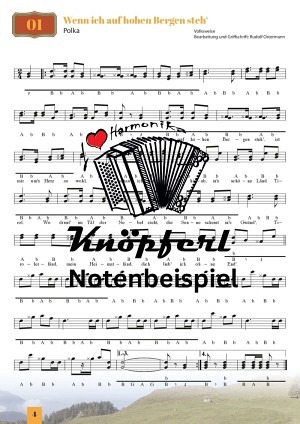 Schwungvolle Wirtshausmusig